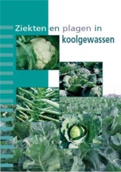 Brochure Ziekten en plagen in koolgewassen